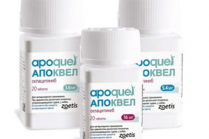 Apokwell dla psów - kto jest przeciwwskazany?